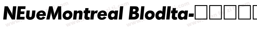 NEueMontreal BlodIta字体转换